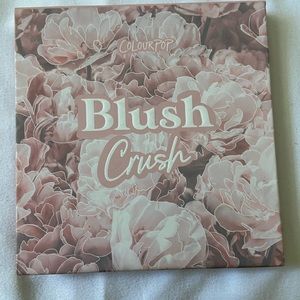 COLOR POP. blush crush eye palette